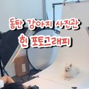 힌웍스