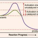 엔자임 Enzymes 이미지