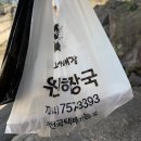 세븐일레븐 울산동문점 | [제주여행기] 구좌 월정리 1day (동문시장, 아베베, 월정리해변, 우진해장국)