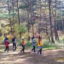 오대산힐링빌리지영농조합법인 이미지