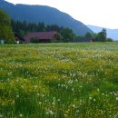 전원풍경 이미지