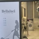 벨라루시 펫살롱 이미지