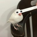 신라초밥 이미지