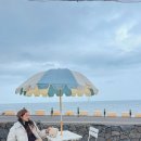 애월 하루 이미지