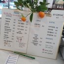 프루브(PROVE) 이미지