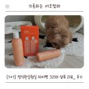 펫 목욕하는날 | 오늘의 애개육아 강아지 쿠키 목욕시키기) 정직한실험실 마이펫 샴푸 강아지샴푸 사용 후기