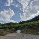 봉화산2농장 이미지