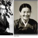 ‘청령(蜻蛉)’을 사랑한 청마(靑馬) 유치환(柳致環) 이미지