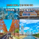 미래센트럴타워 | 인천 갈만한곳 씨사이드파크 센트럴파크 송도g타워 인천9경