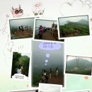 얼음골막걸리 이미지