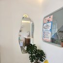 삼콩댕댕이발소 이미지