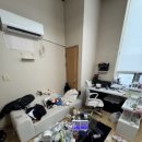 세원 네스텔 이미지