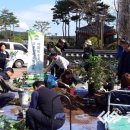 충청화분
