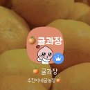 진학농장 이미지