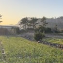 제주도 소규모 게스트하우스 이미지