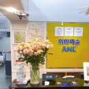 회화미술ANL학원