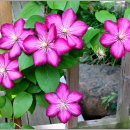 난계국악박물관 이미지