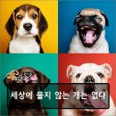 뉴욕성형외과의원 이미지