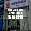 고양이 미용실 방울선생 네이버블로그