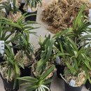 두엽농장 이미지