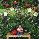 용문농장 | 양평 딸기체험 물오른딸기 1년 만에 재방문 내돈내산 후기