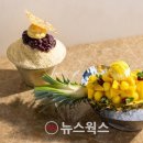 멀티 플라자 이미지