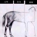 나는 장기적 낙관론자
