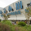 지리산토종흑돼지 이미지