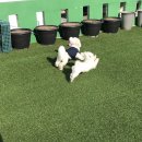 멈무유치원 이미지