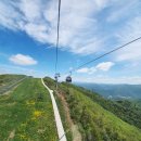 가야-8 | 하이원 하늘길 후기: 8월에 가야만 하는 이유 7가지와 꿀팁 대공개