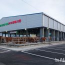 강진-24 이미지
