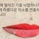 옥스카페 이미지