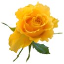 행복자리 이미지