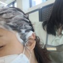 전후가 확실히 다른 대전두피관리 두피탈모 태후사랑 신탄진1호점
