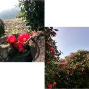 하가누리 이미지