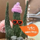 의정부 카페 칵투스 베이커리ㅣ귀여운 선인장과 빵 가득한 곳