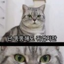 경희네맛집 이미지