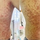 장소프트 이미지