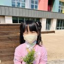 [식목일행사] 허브 심기🌱 이미지