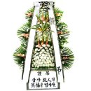 정우원 이미지