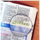정치와 종교, 그 위험한 관계에 대하여