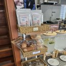 섭이네애견 | [애견동반] 서울 강남 논현동 '패티드' 내돈내산 방문후기