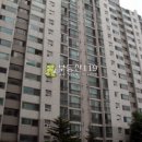 더우개로 Daum카페