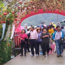 민속촌가든 이미지