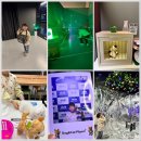 케이인큐베이터 | 제주 신화월드 댕냥별 아이랑 갈만한 곳 | 동물구조 미션 이색체험