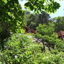 선원상회 이미지