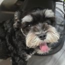 그랑온누리약국 이미지