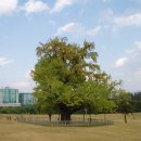 몽촌토성역 이미지