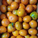 이슬농장 이미지