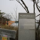학성군 김완장군 영당 티스토리